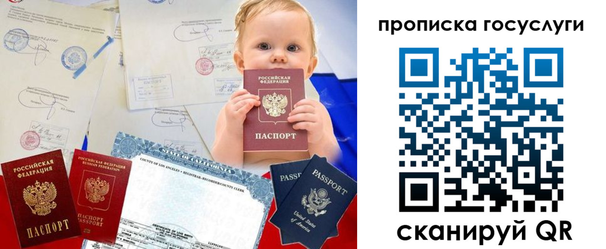 прописка регистрация в Торопеце